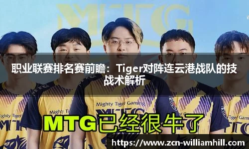 职业联赛排名赛前瞻：Tiger对阵连云港战队的技战术解析