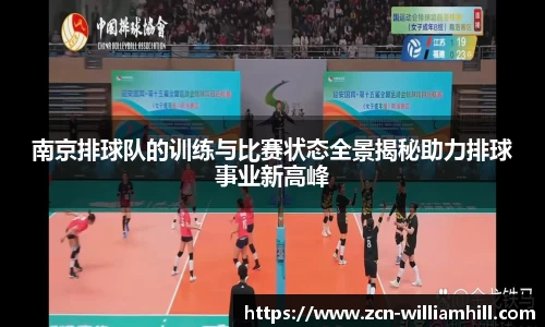 南京排球队的训练与比赛状态全景揭秘助力排球事业新高峰